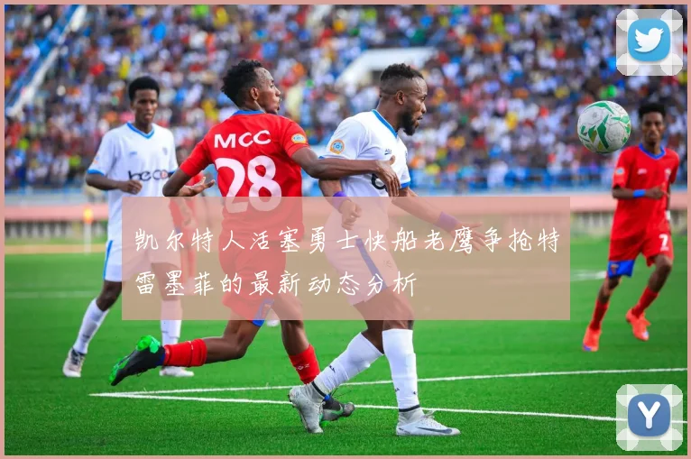 凯尔特人活塞勇士快船老鹰争抢特雷墨菲的最新动态分析